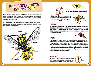 Najbardziej niezwykłe zwierzęta i miejsca na świecie