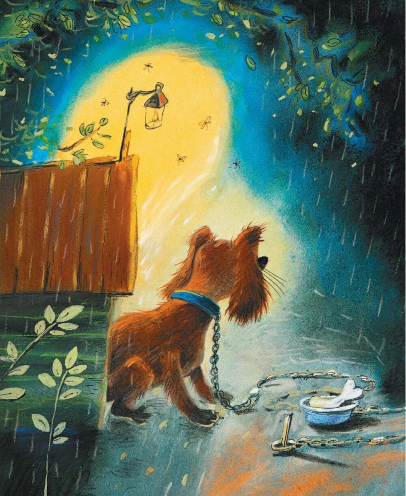 Rain
