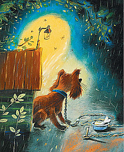 Rain
