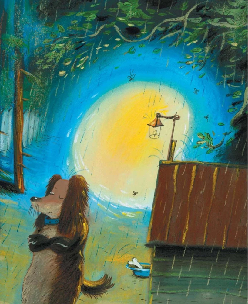 Rain