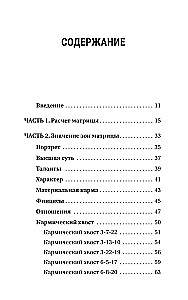Ключ к Матрице судьбы для начинающих. Правила построения, энергии, кармические программы, карта здоровья