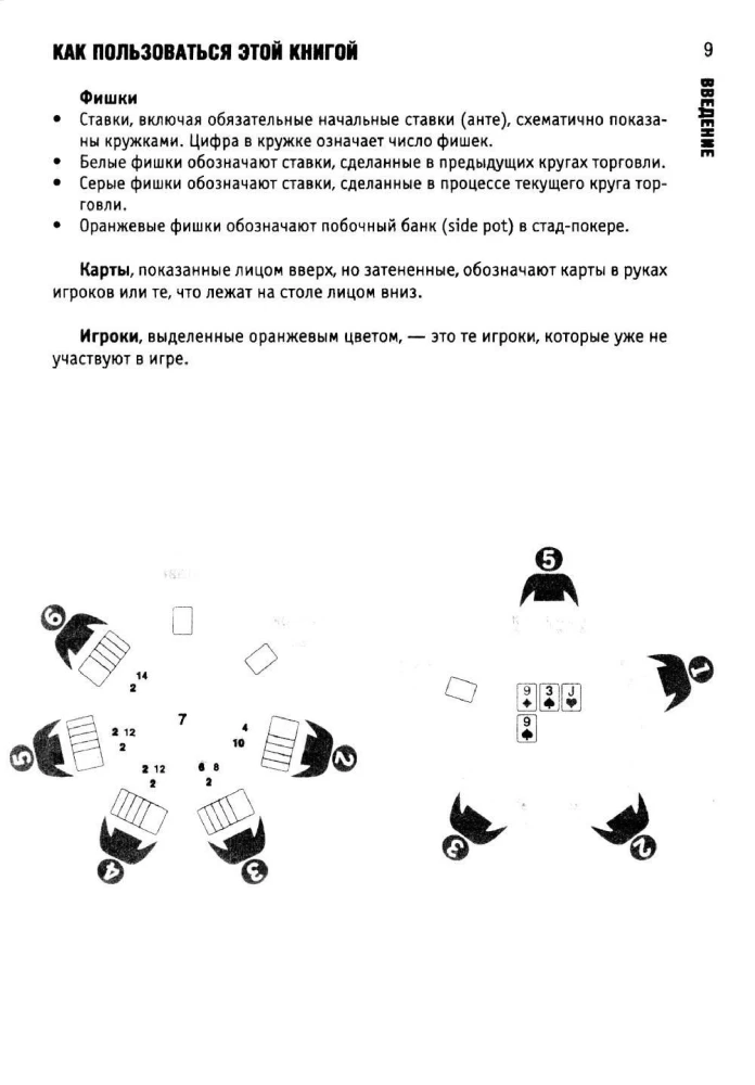 Poker. Lektionen des gewinnbringenden Spiels von einem Profi