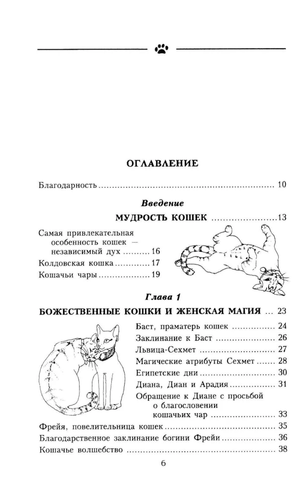 Kačių magija. Kaip įsileisti sėkmę į savo namus