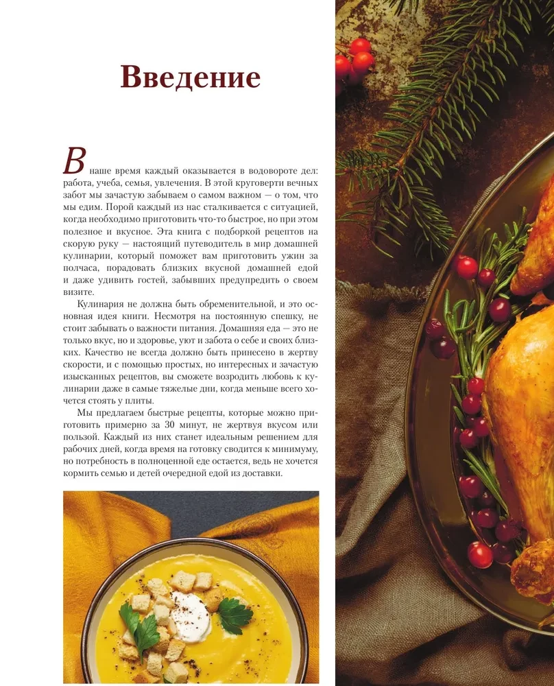 Essen im Eiltempo. Schnelles Kochen in 30 Minuten