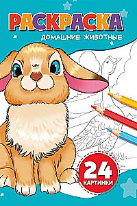 Krāsojamā grāmata. Mājdzīvnieki