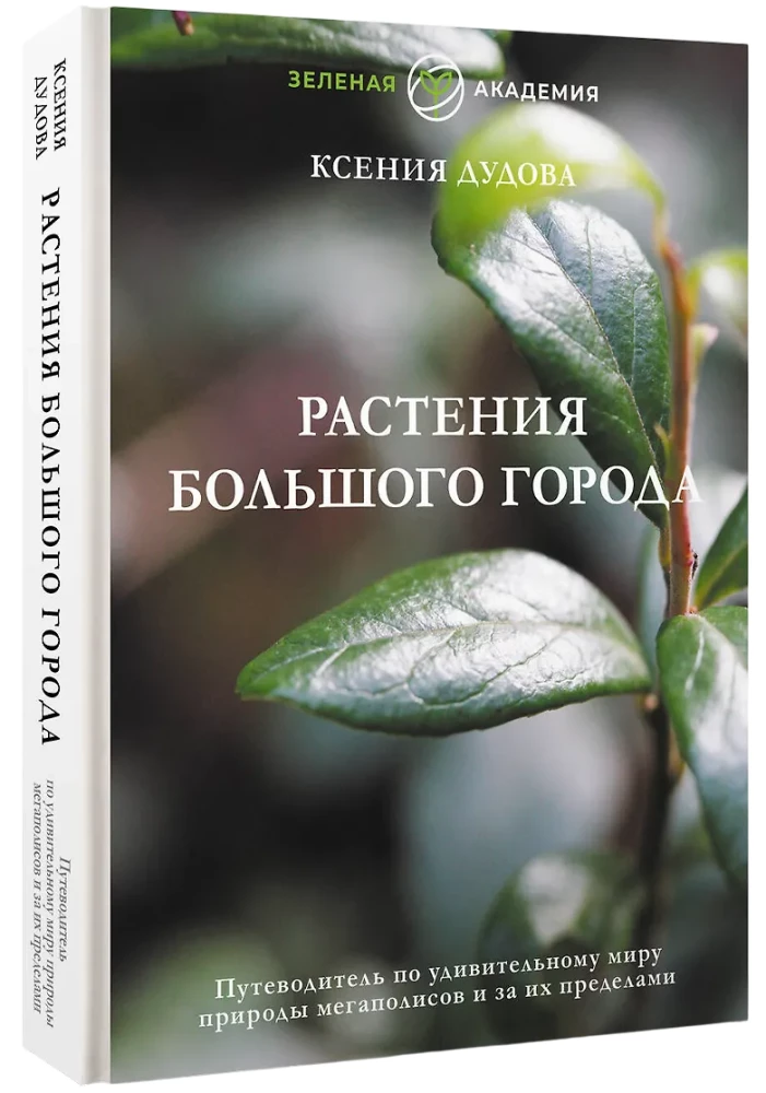 Plants of the Big City. A Guide to the Amazing World of Nature in Metropolises and Beyond