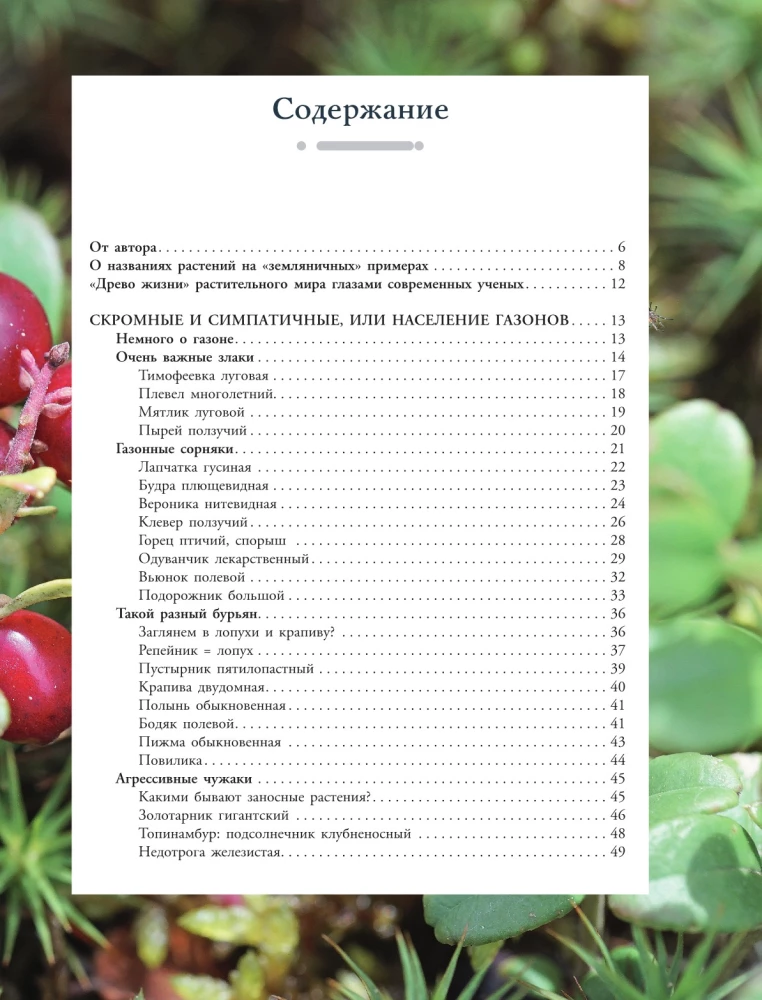 Plants of the Big City. A Guide to the Amazing World of Nature in Metropolises and Beyond