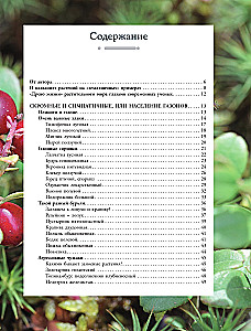 Plants of the Big City. A Guide to the Amazing World of Nature in Metropolises and Beyond
