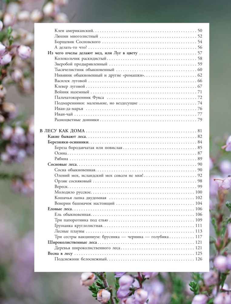 Plants of the Big City. A Guide to the Amazing World of Nature in Metropolises and Beyond