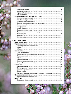 Plants of the Big City. A Guide to the Amazing World of Nature in Metropolises and Beyond