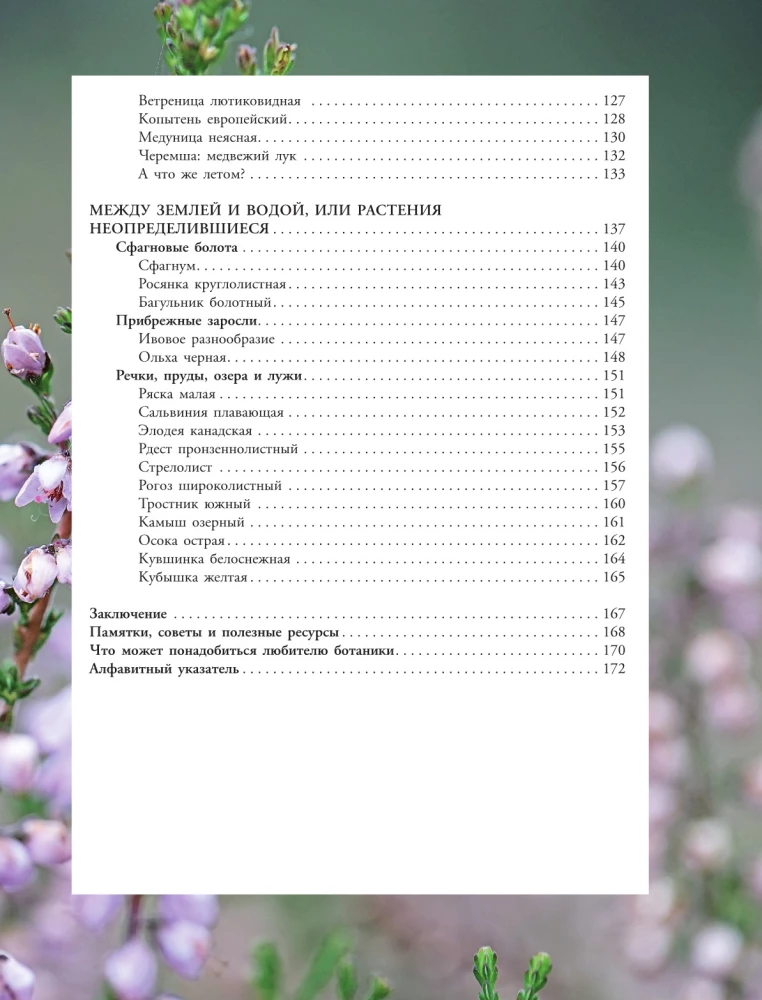 Plants of the Big City. A Guide to the Amazing World of Nature in Metropolises and Beyond