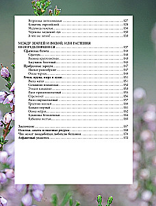 Plants of the Big City. A Guide to the Amazing World of Nature in Metropolises and Beyond