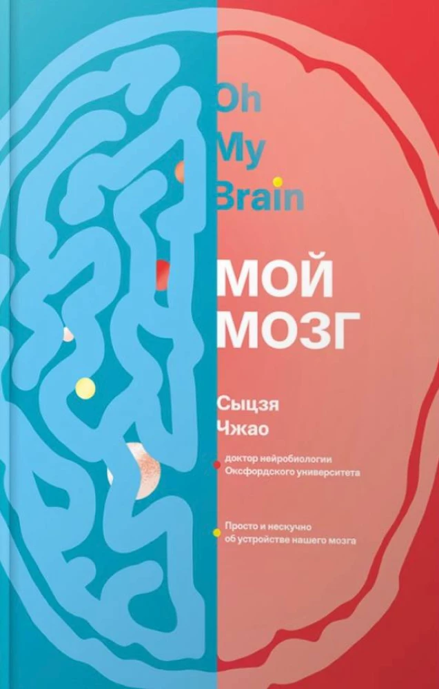 My Brain