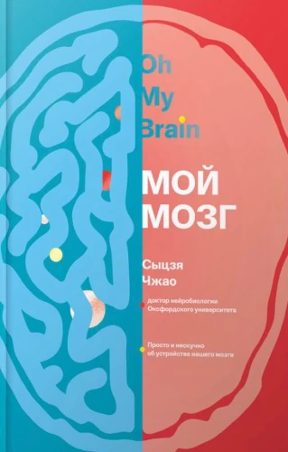 My Brain