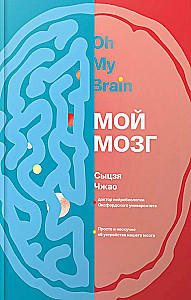 My Brain