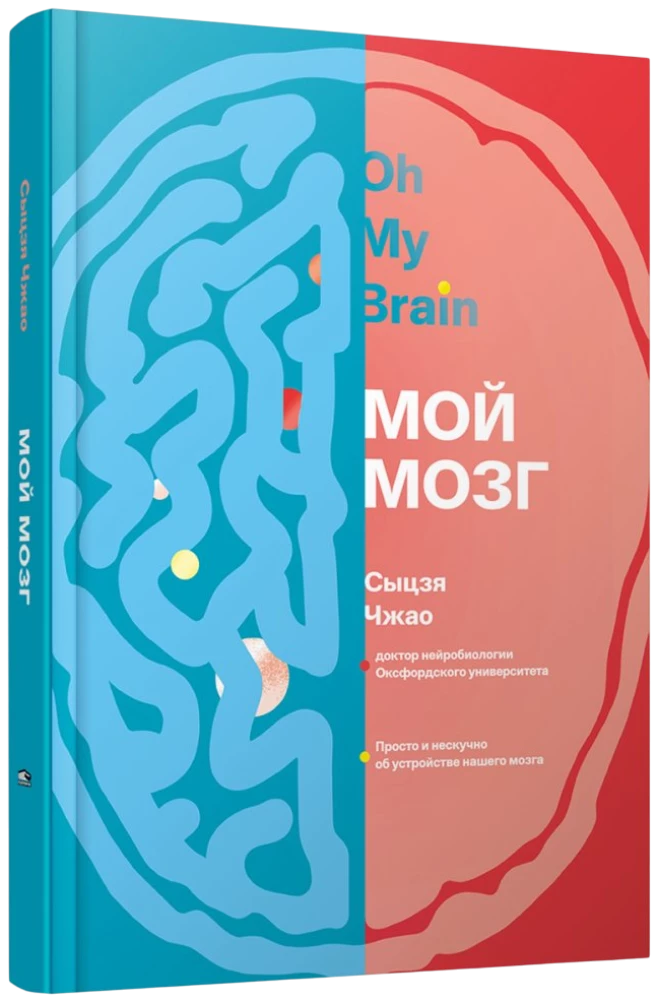 My Brain
