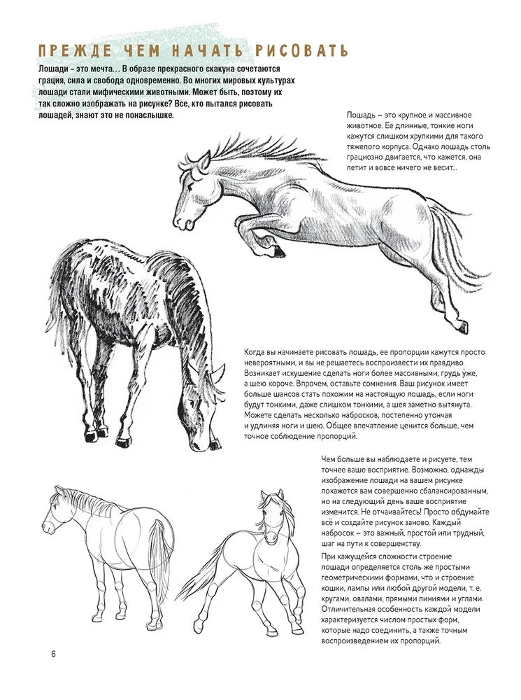 Algaja kunstniku sketširaamat. Loome hobuste visandeid samm-sammult