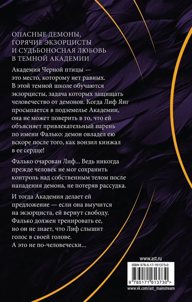 Academy of the Black Bird. Destroy the Darkness