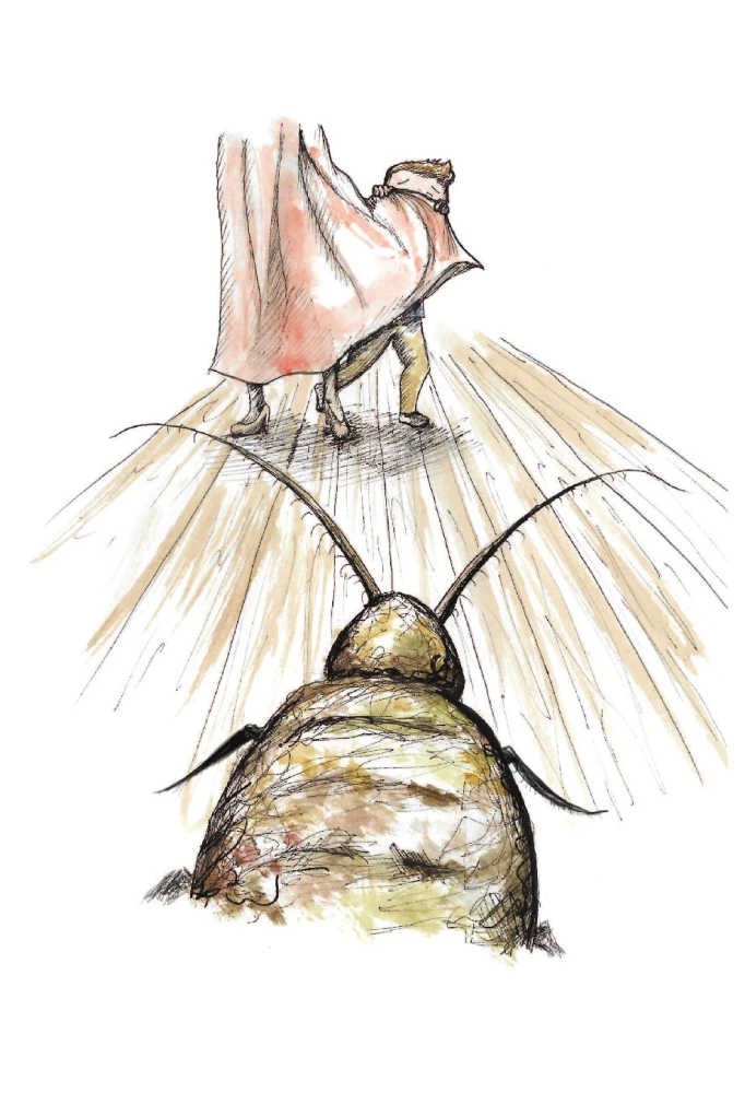 The Boy and the Cockroach. A Story for Those Who Are Tired of Being a Prisoner of Their Thoughts