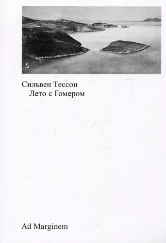 Лето с Гомером