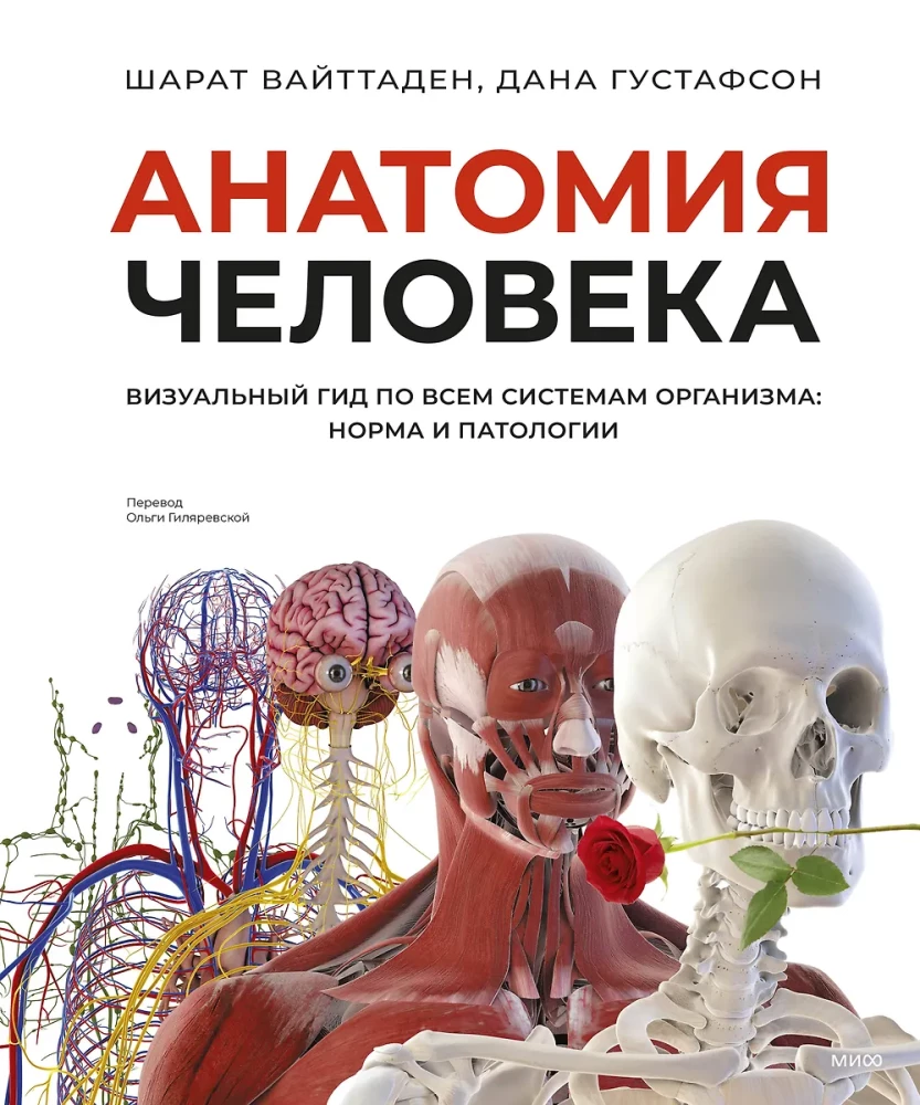 Human Anatomy. A Visual Guide to All Body Systems: Norms and Pathologies