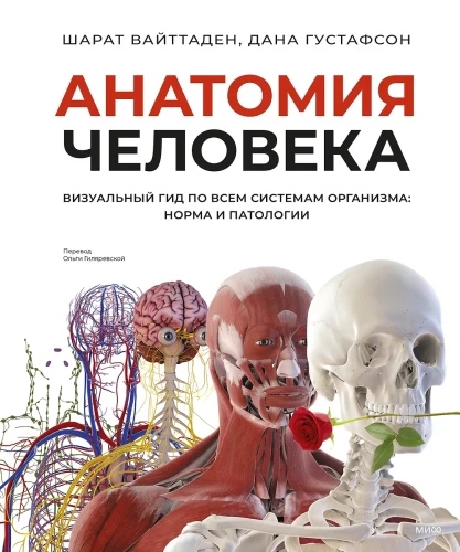 Human Anatomy. A Visual Guide to All Body Systems: Norms and Pathologies
