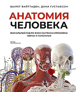 Human Anatomy. A Visual Guide to All Body Systems: Norms and Pathologies