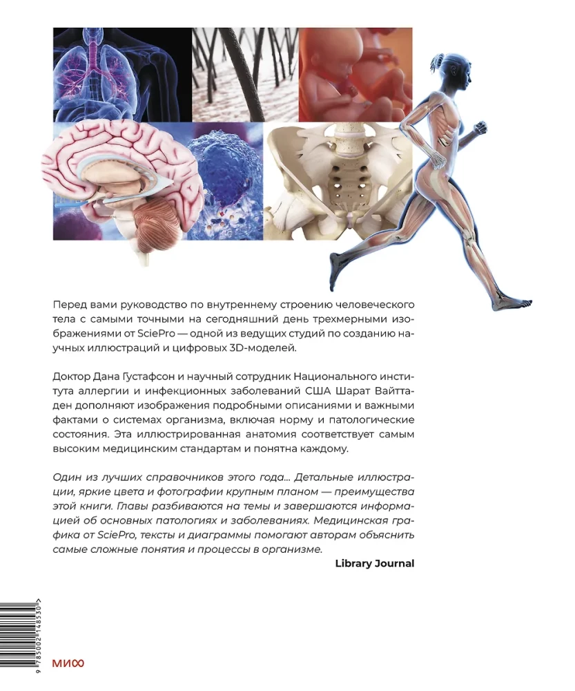 Human Anatomy. A Visual Guide to All Body Systems: Norms and Pathologies