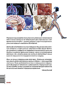 Human Anatomy. A Visual Guide to All Body Systems: Norms and Pathologies