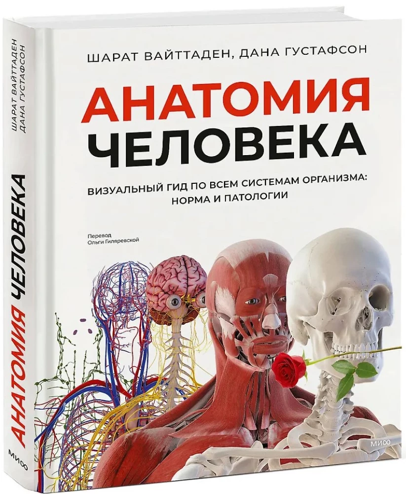Human Anatomy. A Visual Guide to All Body Systems: Norms and Pathologies
