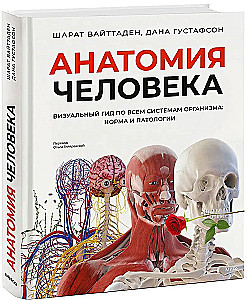 Human Anatomy. A Visual Guide to All Body Systems: Norms and Pathologies