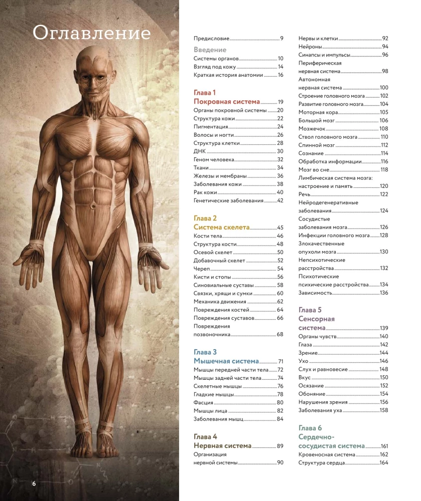Human Anatomy. A Visual Guide to All Body Systems: Norms and Pathologies