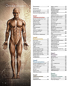 Human Anatomy. A Visual Guide to All Body Systems: Norms and Pathologies