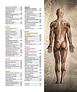 Human Anatomy. A Visual Guide to All Body Systems: Norms and Pathologies
