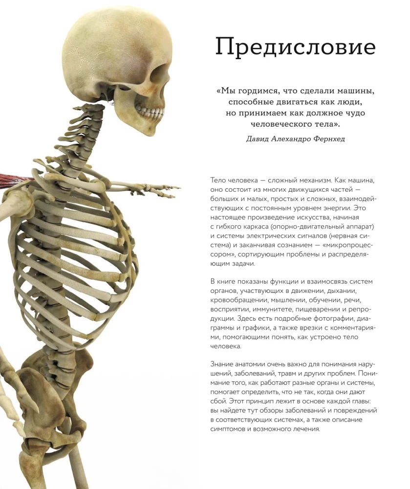Human Anatomy. A Visual Guide to All Body Systems: Norms and Pathologies
