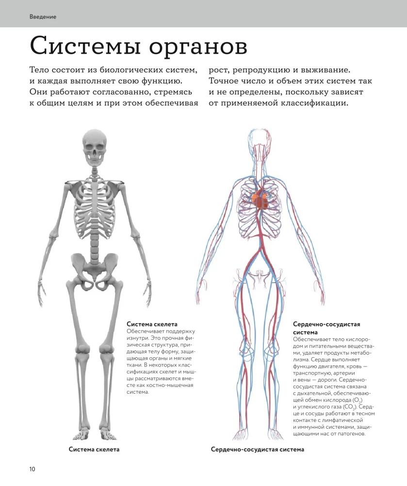 Human Anatomy. A Visual Guide to All Body Systems: Norms and Pathologies