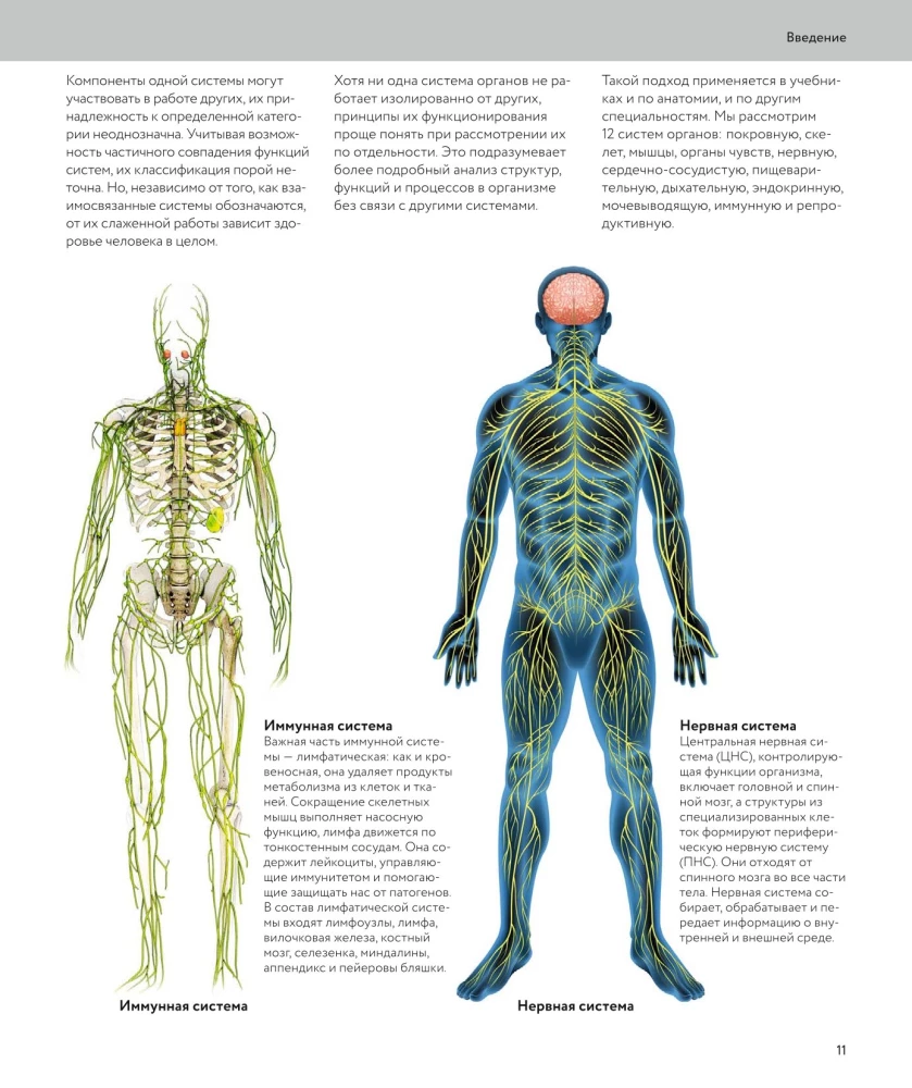 Human Anatomy. A Visual Guide to All Body Systems: Norms and Pathologies