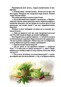 Kārļa deguns
