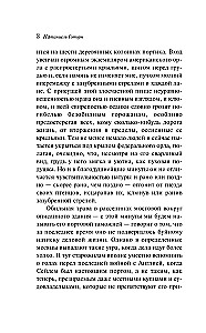 Der scharlachrote Buchstabe