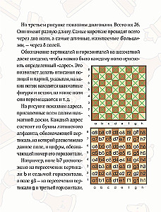 Learning to Play Chess. A Book for the First Year of Learning