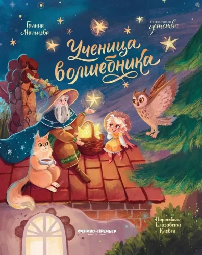 The Wizard's Apprentice