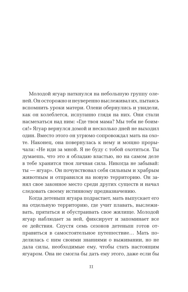 Животные-тотемы. Нечеловеческая сила. Проводник в мир шаманских практик