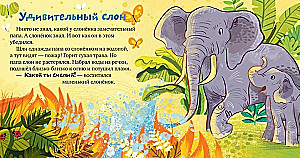Папа меня любит