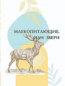 Red Book. Activity