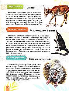 Red Book. Activity
