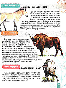 Red Book. Activity