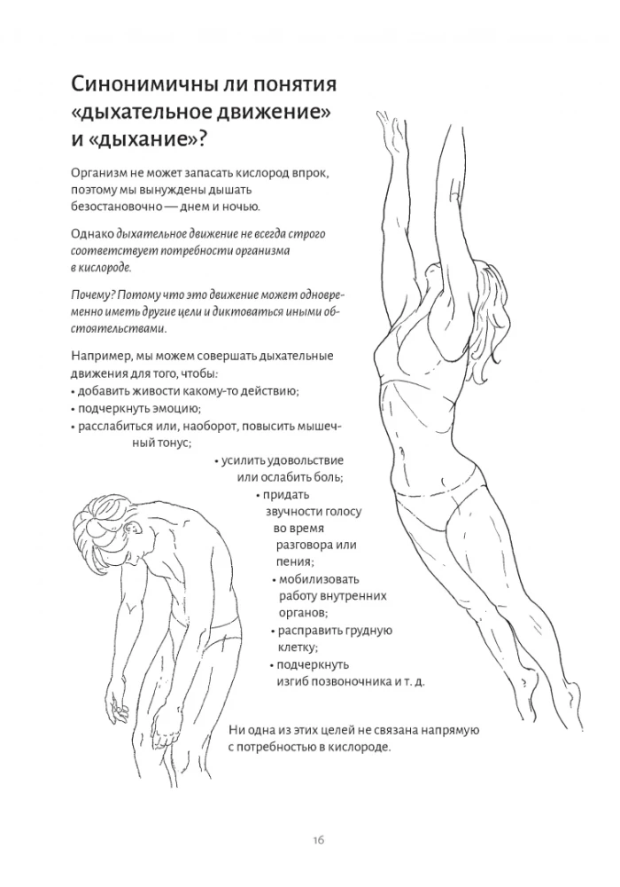 Anatomy of Breathing