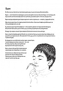Anatomy of Breathing