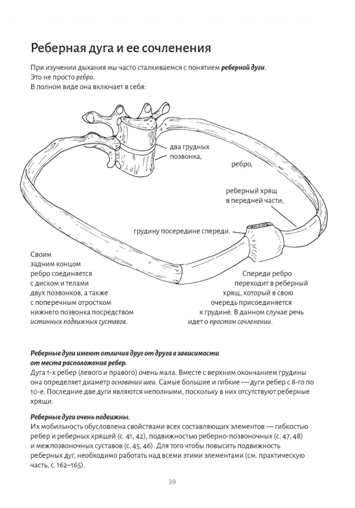 Anatomy of Breathing