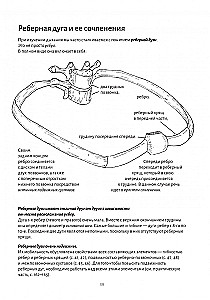 Anatomy of Breathing